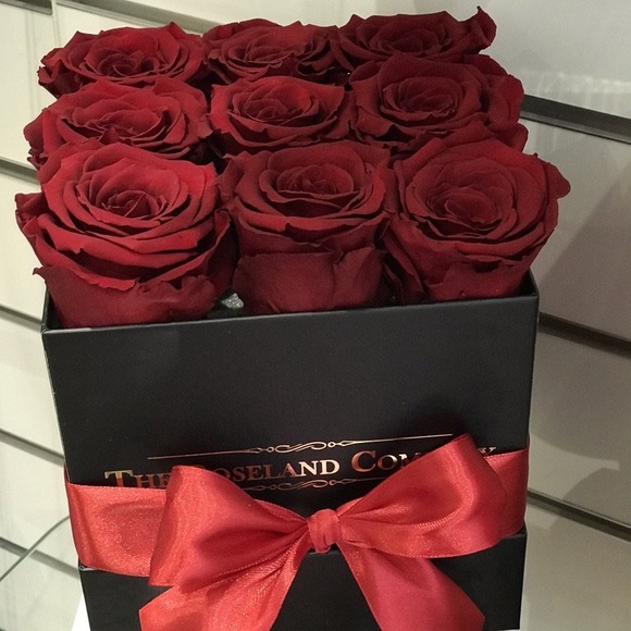 Meet your Posher, Isabel - Picture 3 of 4